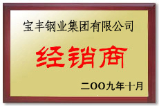 梨树宝丰经销商